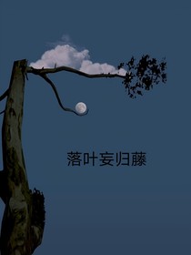 落叶忘归藤