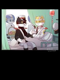 黑猫警长的秘密