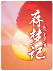 存梦记