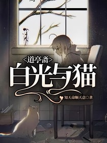 白光与猫-d586