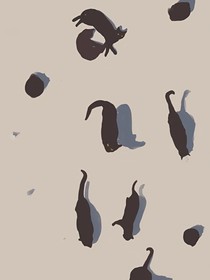 全高——白日囚徒