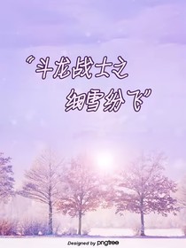 斗龙战士之细雪纷飞