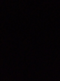 弃文：