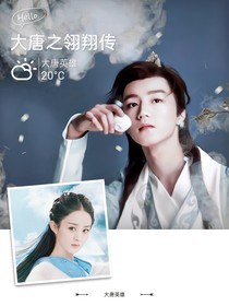 大唐之翎翔传-d365
