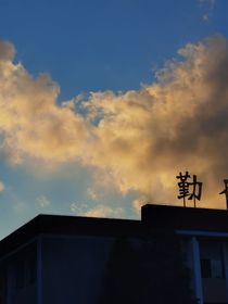 没办法，我就是不想走剧情