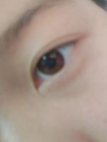 情的
