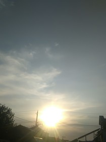 歲寒松柏