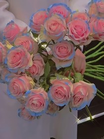 爱会来