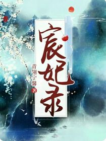 宸妃录