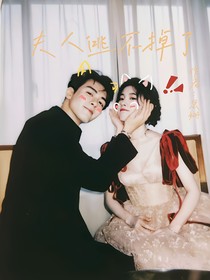夫人逃不掉了