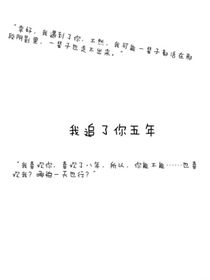 我追了你五年