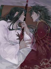 流星的言语