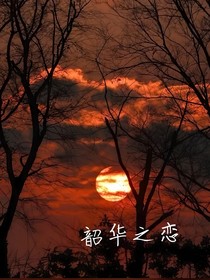 韶華之戀