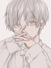 四时花之语