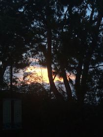 便是上上签