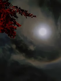 陰陽難辯