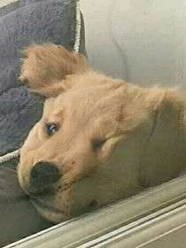 后续可多