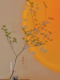 一枕南柯—TNT時代少年團短篇合集
