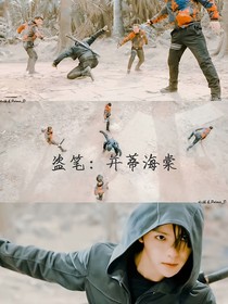 盗笔：并蒂海棠