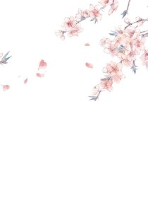 憾情