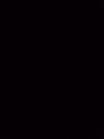 摘星不負你
