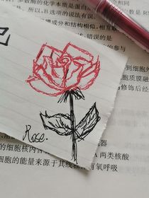 花期与奇迹