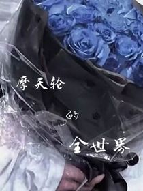 摩天轮的全世界
