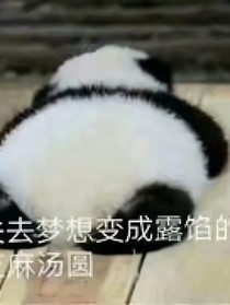 TNT：我真的只想當(dāng)個小糊咖
