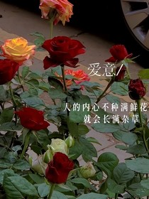 玫瑰花好刺