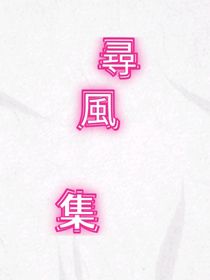 寻风集