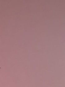 三字经文