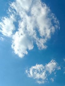 惊鸿一瞥，此生不换