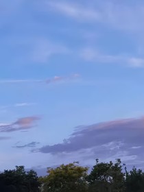 爱的拍拍