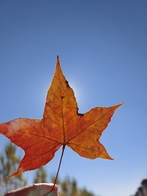 春春無悔