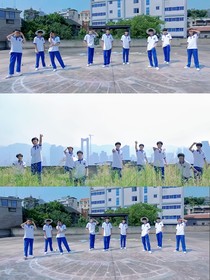 TF家族：关于他们和她们的故事
