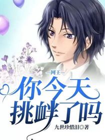 网王：你今天挑衅了吗