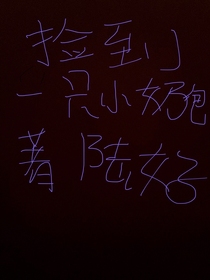 捡到一只小奶包