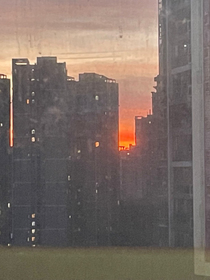 和夏今年