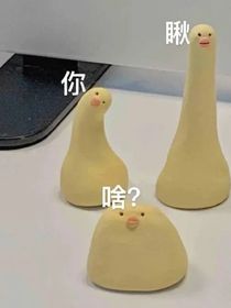 岁岁年年都是你