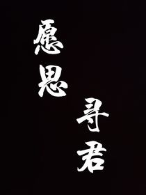 愿思寻君