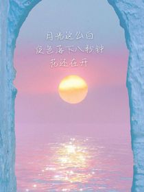那年夏天你我相遇