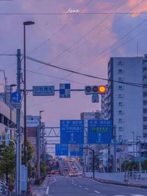 狐狸诱饵
