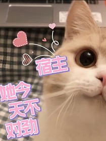 宿主她今天不对劲
