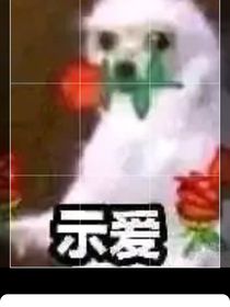 凹凸乙女星月茶