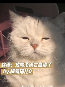 綜漫：攻略系統(tǒng)他崩潰了