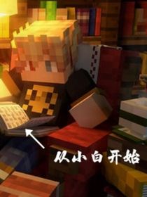 我的世界……从小白开始