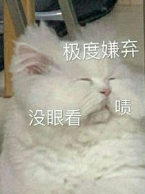 電競男神居然沒有胸