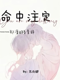命中注定—天赐良缘