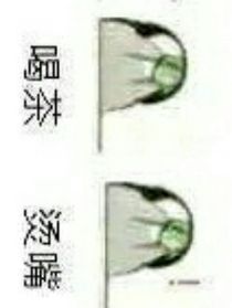 啥也不是小故事