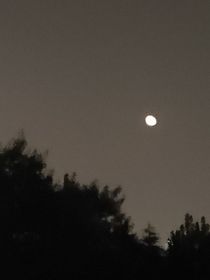 荼然的小故事世界